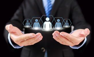 教育咨詢服務新篇章 煙臺網億網絡公司助力教育培訓機構實現數字化轉型